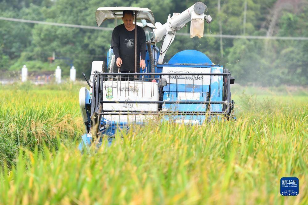 民间娱乐游戏注册送39